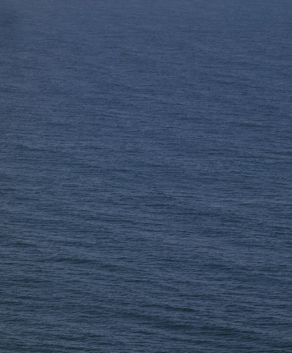 Atlantic Poplin Shirt - Outerworn - Image 3