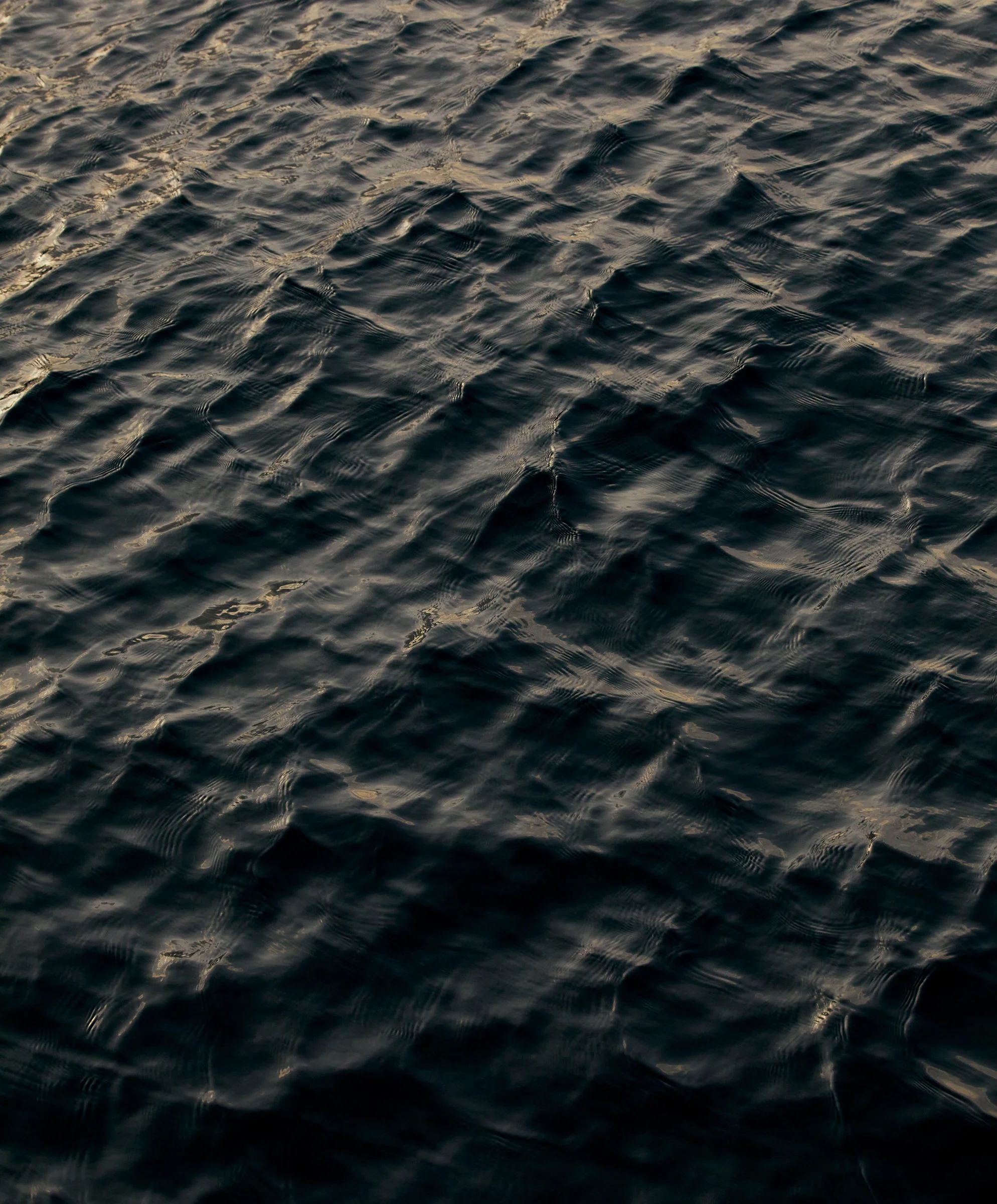 Maritime Waffle Henley - Outerworn - Image 3