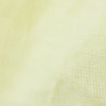 Seventyseven Cord Shorts - Outerworn - Image 5